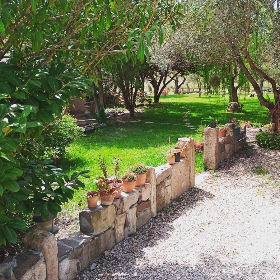 Residenza Uliveto Su Contu Appartement *