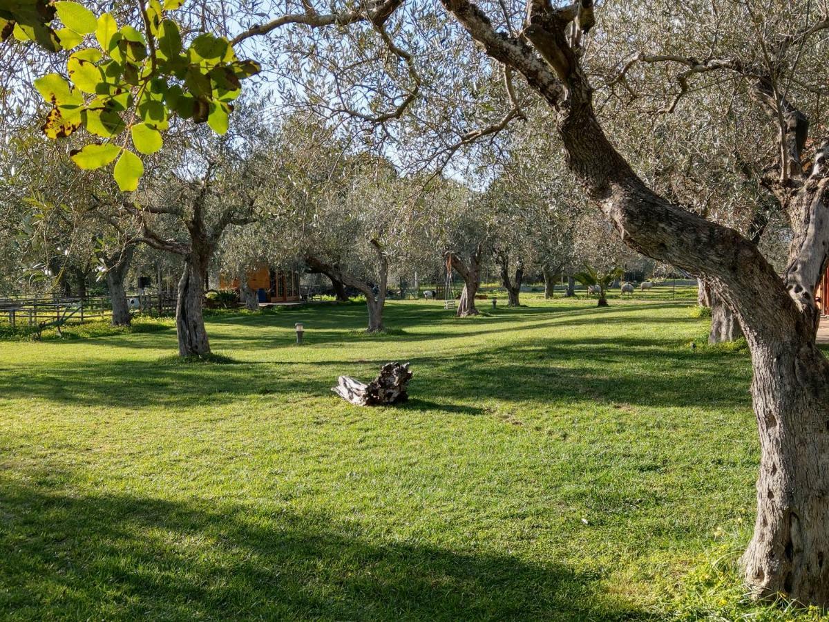 Residenza Uliveto Su Contu Appartement *
