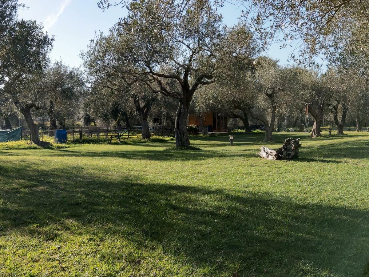 Residenza Uliveto Su Contu Alghero