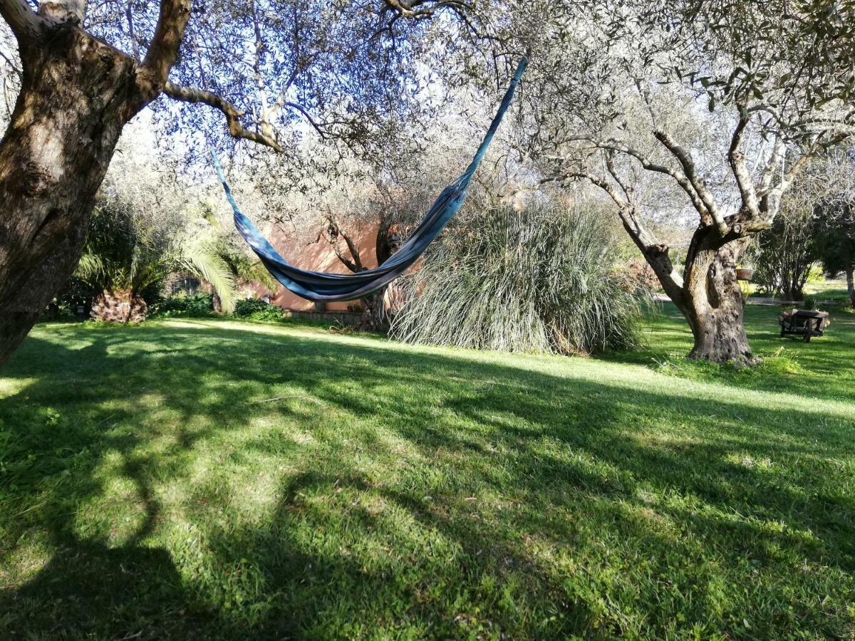 Appartement Residenza Uliveto Su Contu Alghero