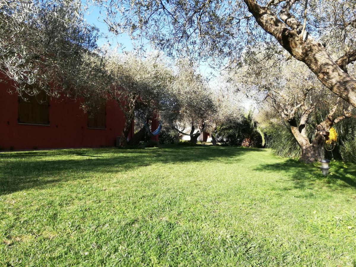 Residenza Uliveto Su Contu Appartement