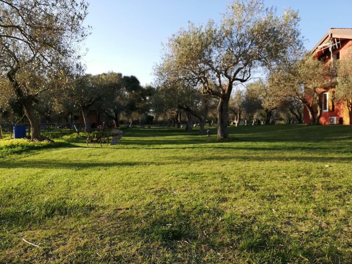 Residenza Uliveto Su Contu Appartement