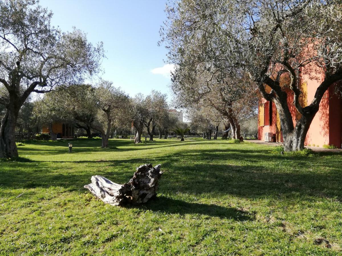 Appartement Residenza Uliveto Su Contu Alghero