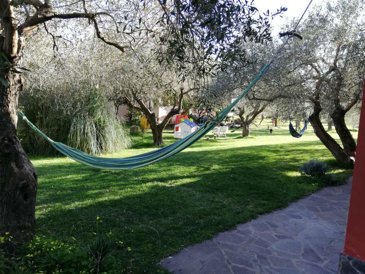 Residenza Uliveto Su Contu Appartement *